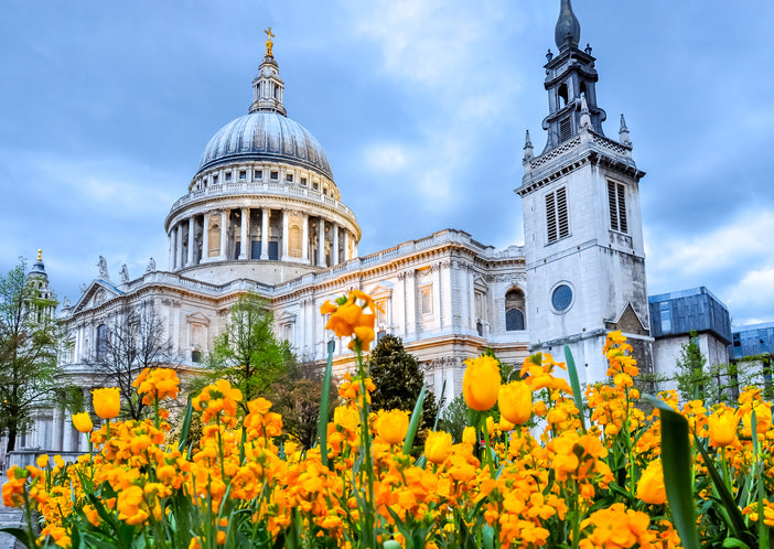 allergy blood test in london flowers food